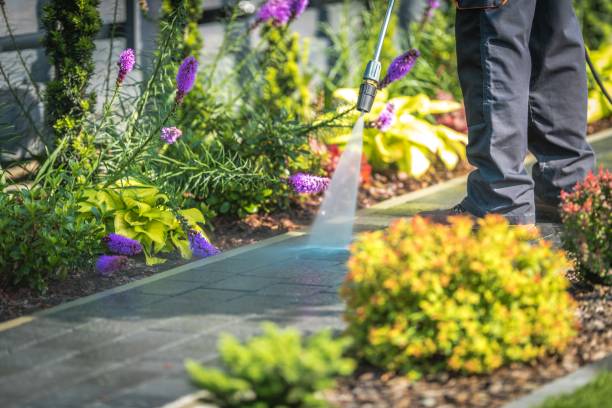 Best Boat and Dock Cleaning  in Mayfield, OH