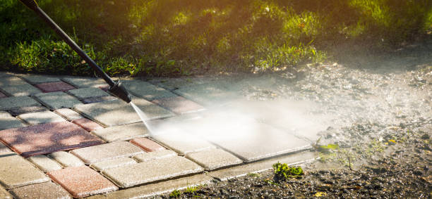 Best Solar Panel Cleaning  in Mayfield, OH